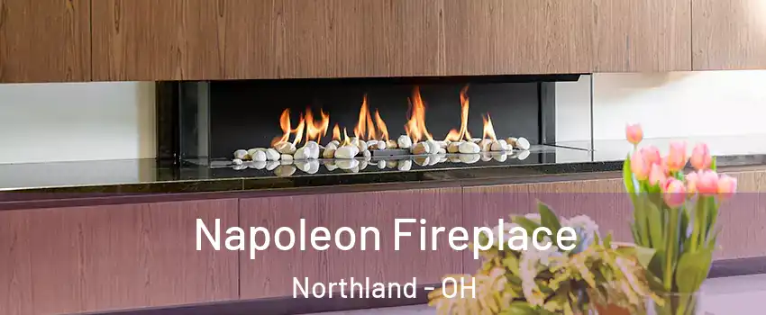 Napoleon Fireplace Northland - OH