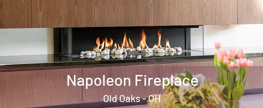 Napoleon Fireplace Old Oaks - OH