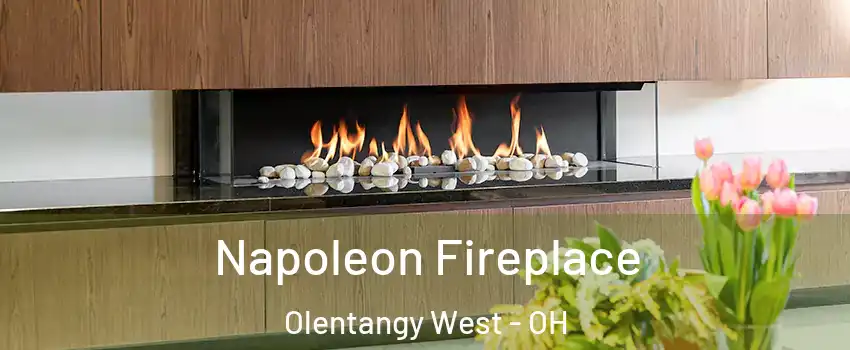 Napoleon Fireplace Olentangy West - OH