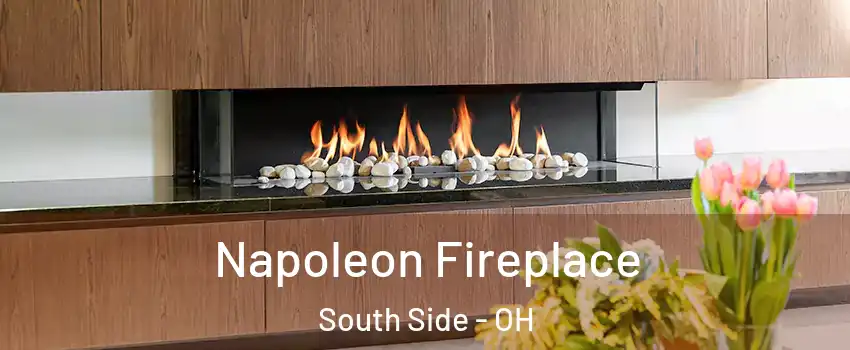 Napoleon Fireplace South Side - OH