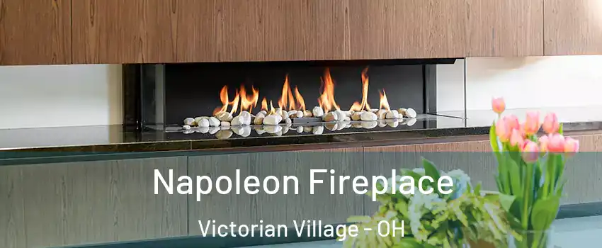 Napoleon Fireplace Victorian Village - OH