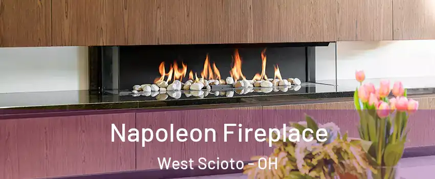 Napoleon Fireplace West Scioto - OH