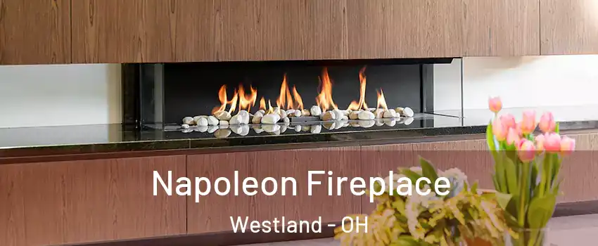 Napoleon Fireplace Westland - OH