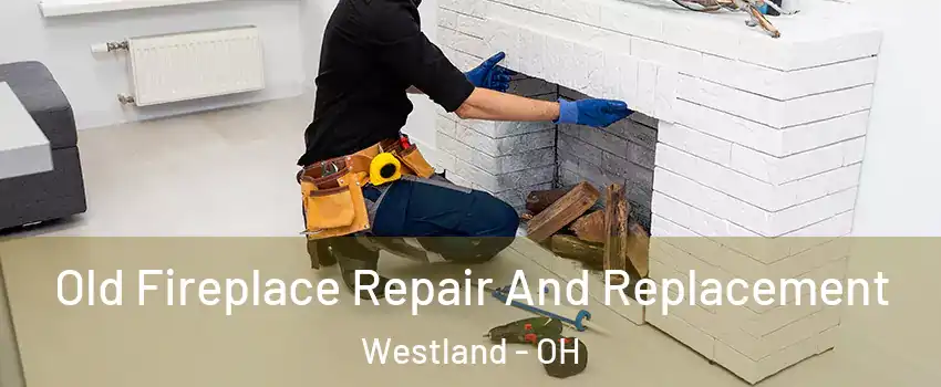 Old Fireplace Repair And Replacement Westland - OH