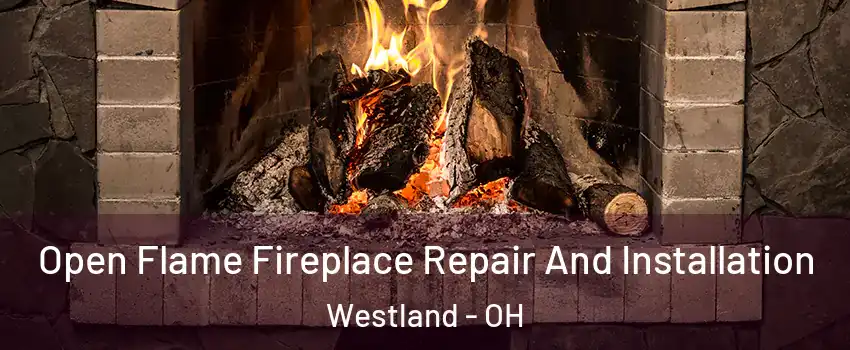 Open Flame Fireplace Repair And Installation Westland - OH