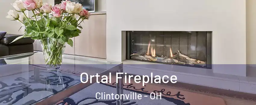 Ortal Fireplace Clintonville - OH