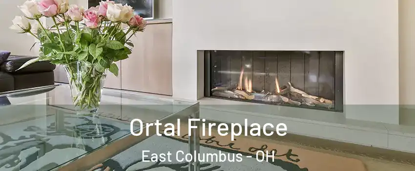 Ortal Fireplace East Columbus - OH