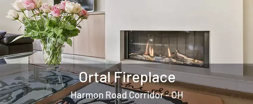 Ortal Fireplace Harmon Road Corridor - OH