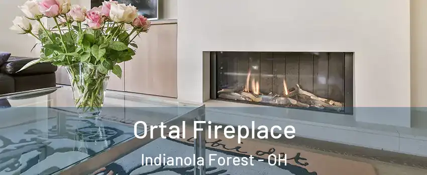 Ortal Fireplace Indianola Forest - OH