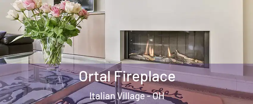 Ortal Fireplace Italian Village - OH