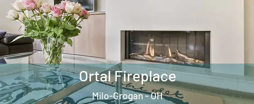 Ortal Fireplace Milo-Grogan - OH