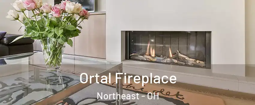 Ortal Fireplace Northeast - OH