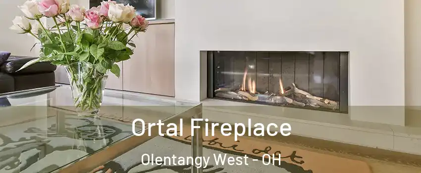 Ortal Fireplace Olentangy West - OH