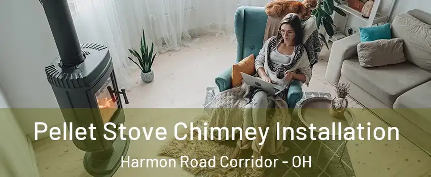 Pellet Stove Chimney Installation Harmon Road Corridor - OH