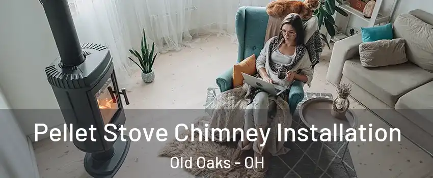 Pellet Stove Chimney Installation Old Oaks - OH