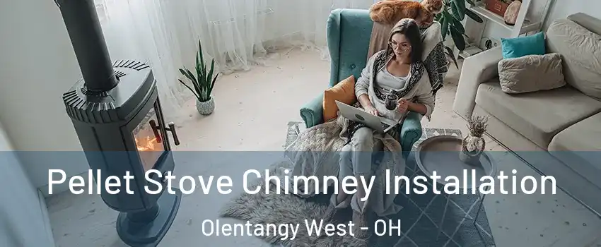 Pellet Stove Chimney Installation Olentangy West - OH