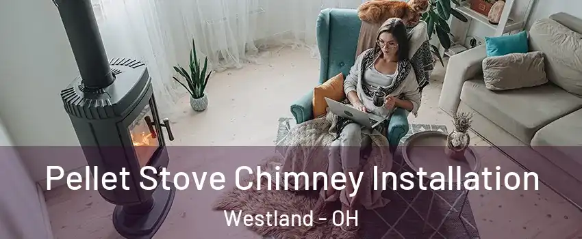 Pellet Stove Chimney Installation Westland - OH