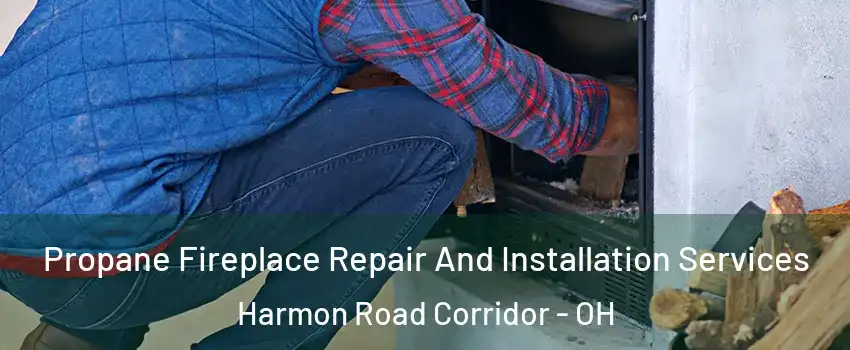 Propane Fireplace Repair And Installation Services Harmon Road Corridor - OH