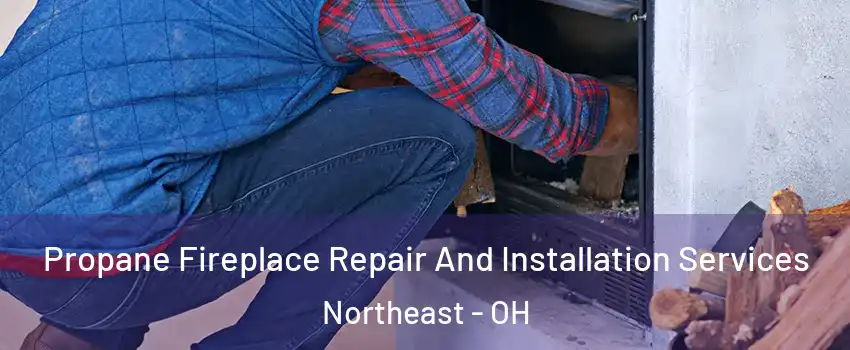 Propane Fireplace Repair And Installation Services Northeast - OH