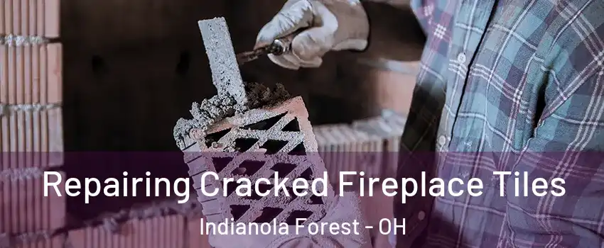 Repairing Cracked Fireplace Tiles Indianola Forest - OH