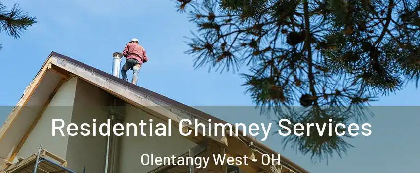 Residential Chimney Services Olentangy West - OH