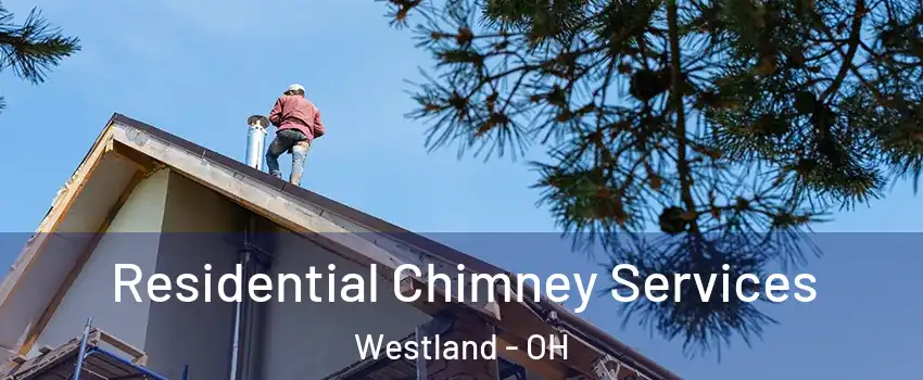 Residential Chimney Services Westland - OH