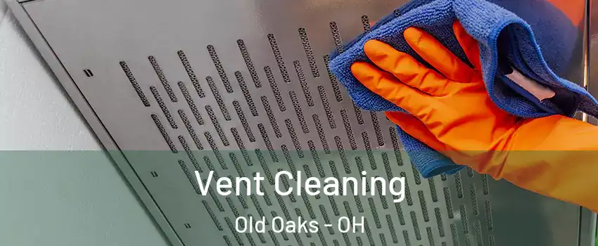 Vent Cleaning Old Oaks - OH