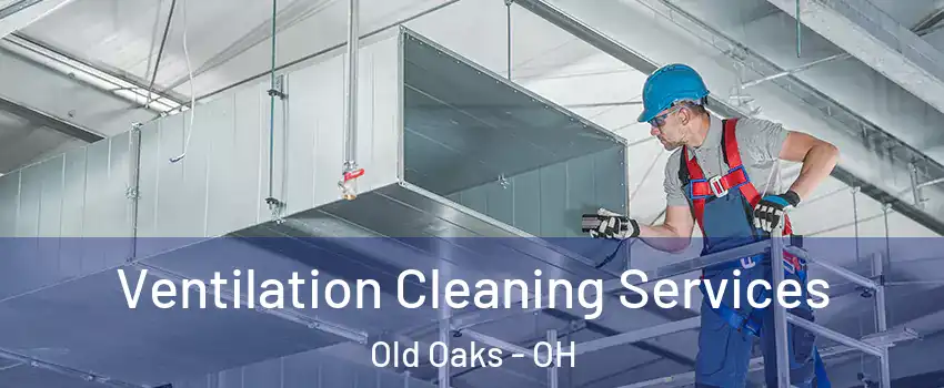 Ventilation Cleaning Services Old Oaks - OH