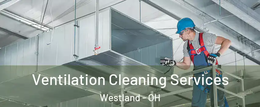 Ventilation Cleaning Services Westland - OH