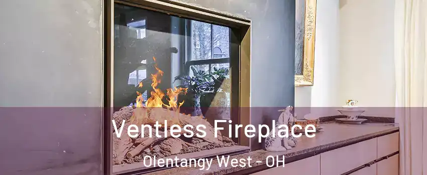 Ventless Fireplace Olentangy West - OH